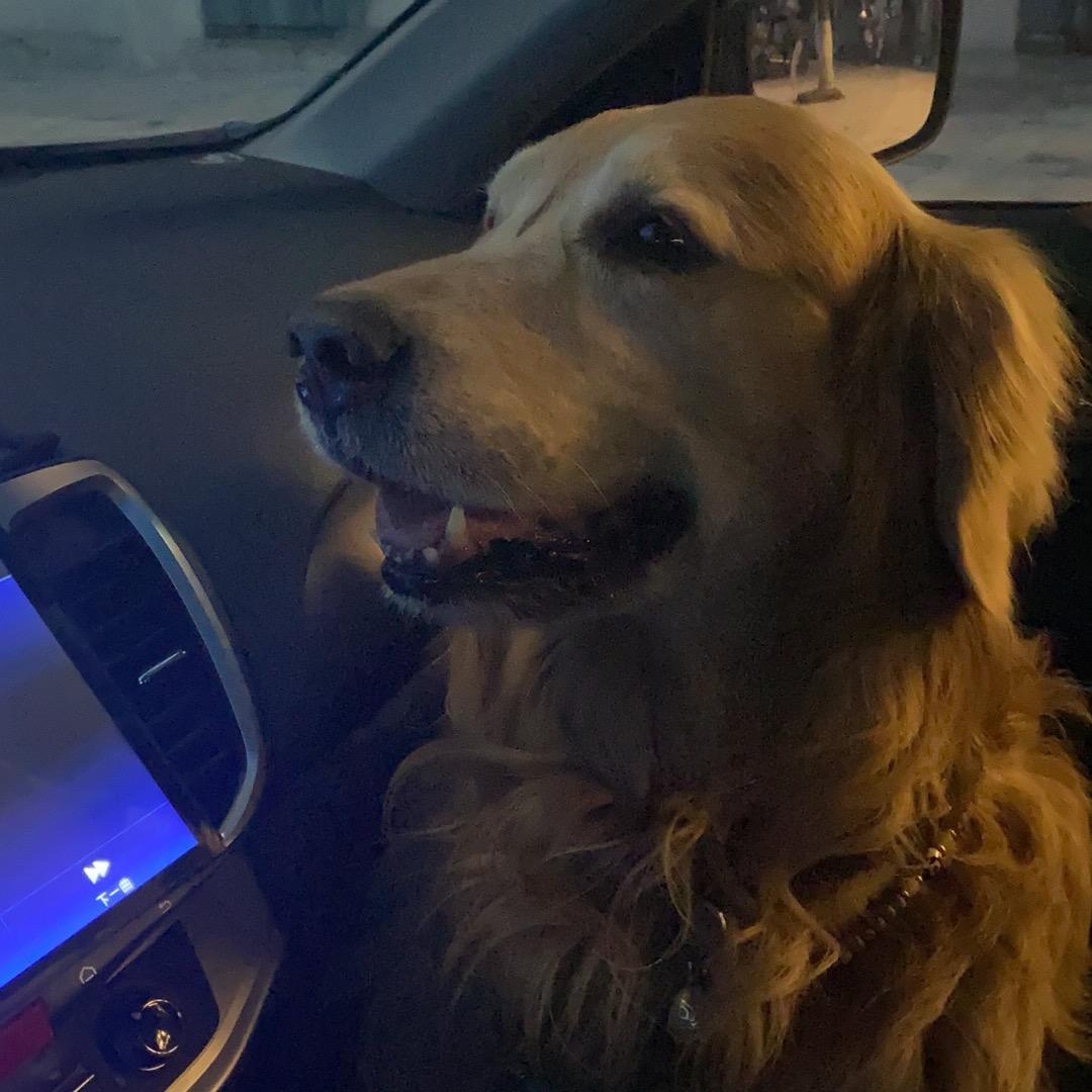 天天溜达天天打龟