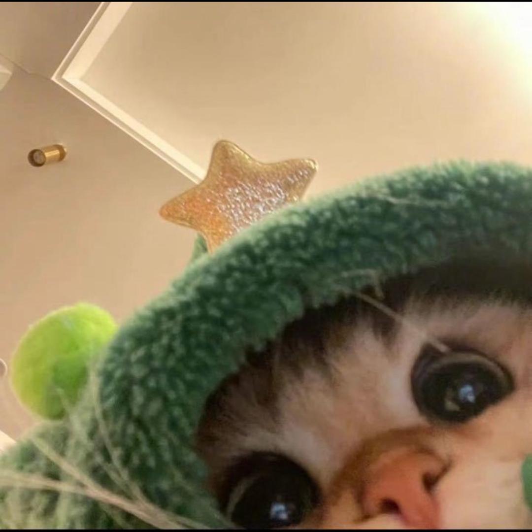 今年好运多多