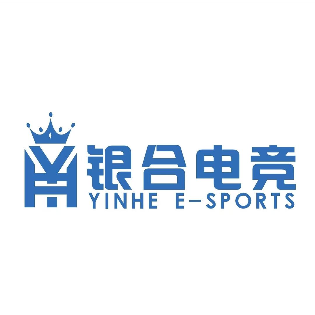 衡东银合电竞