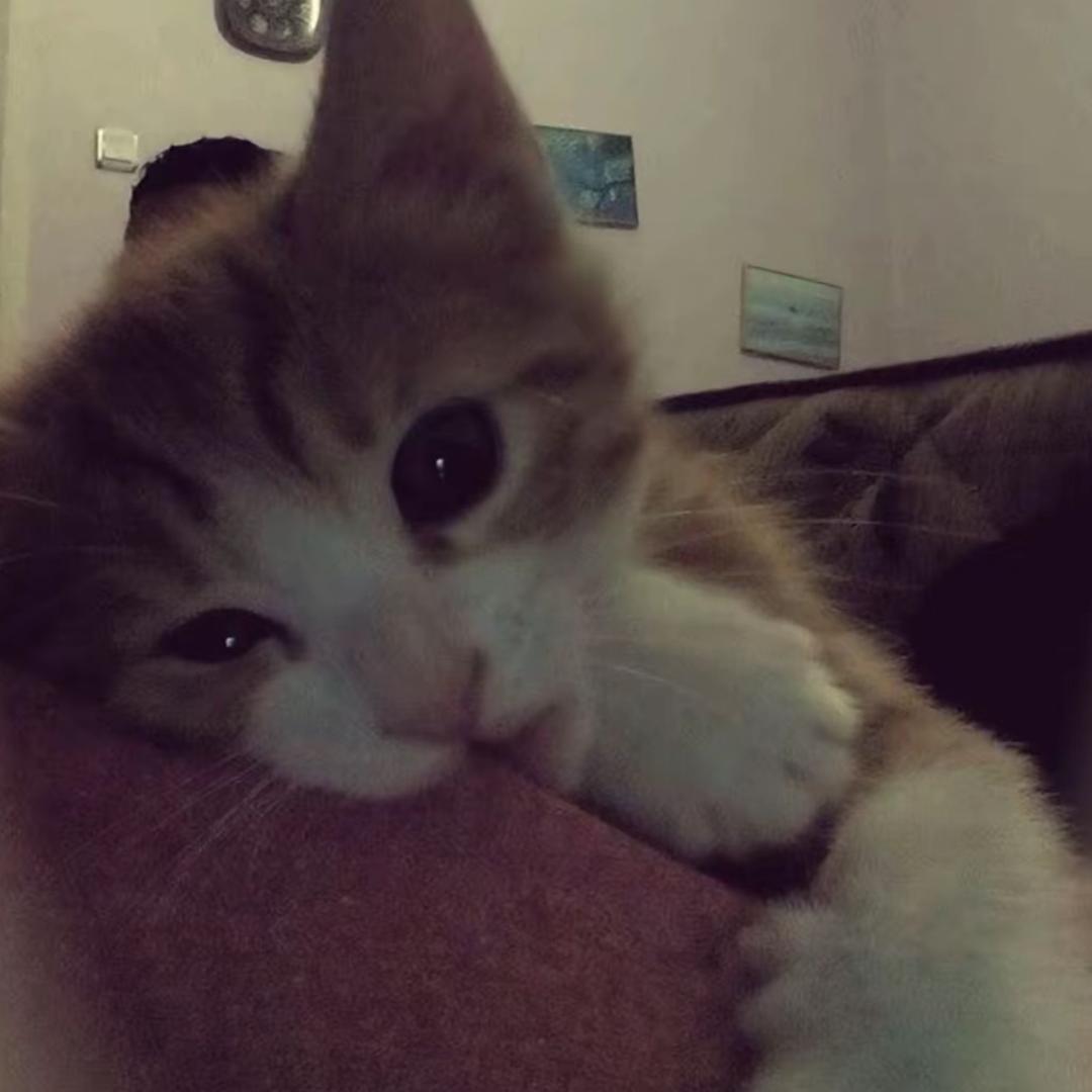 ～