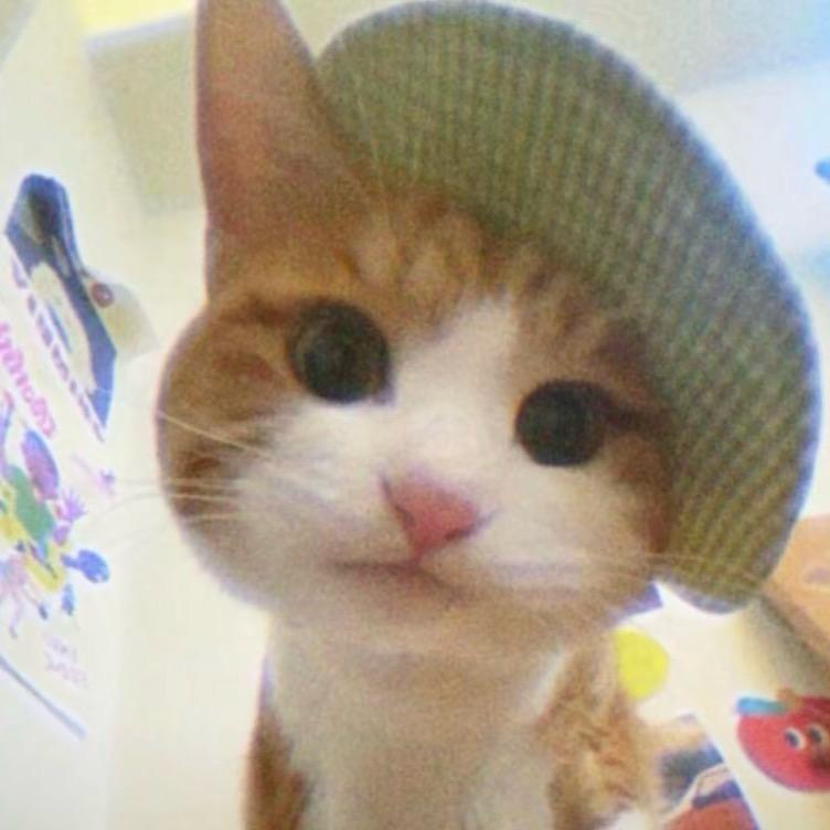 悸动·