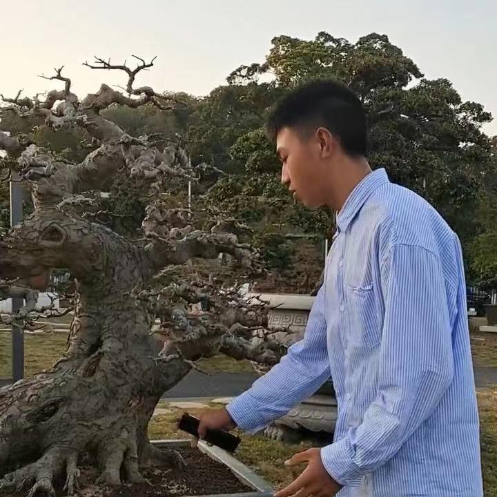 盆心倚立