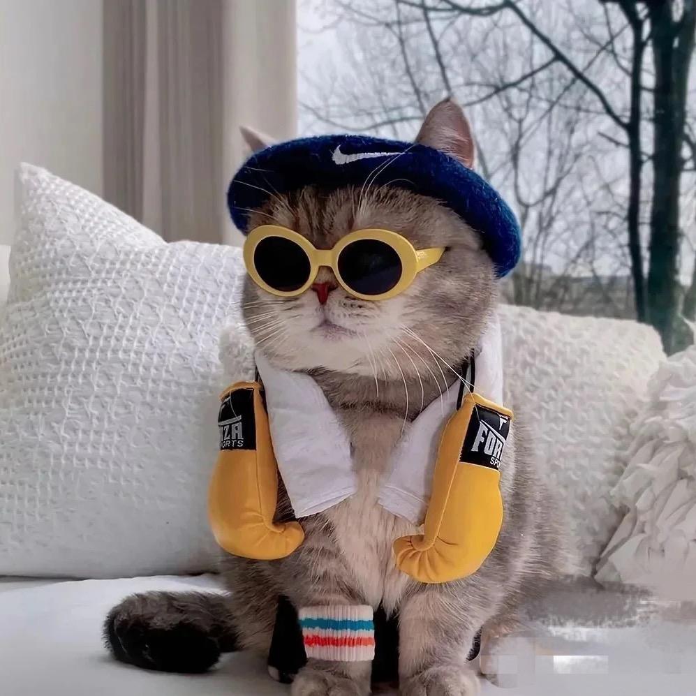 再来二斤五花肉