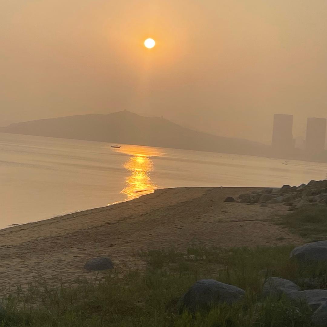 王加琪