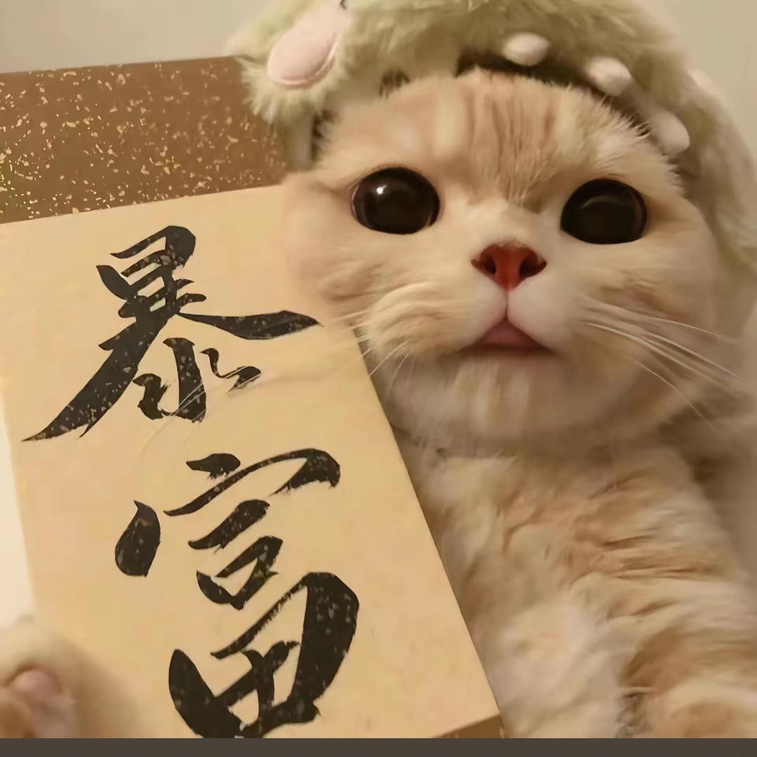 甜心宝贝