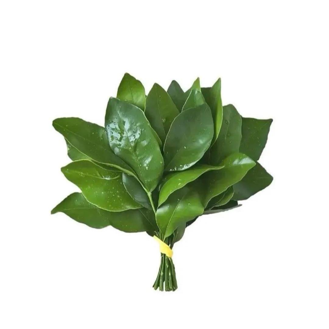 刘喜喜