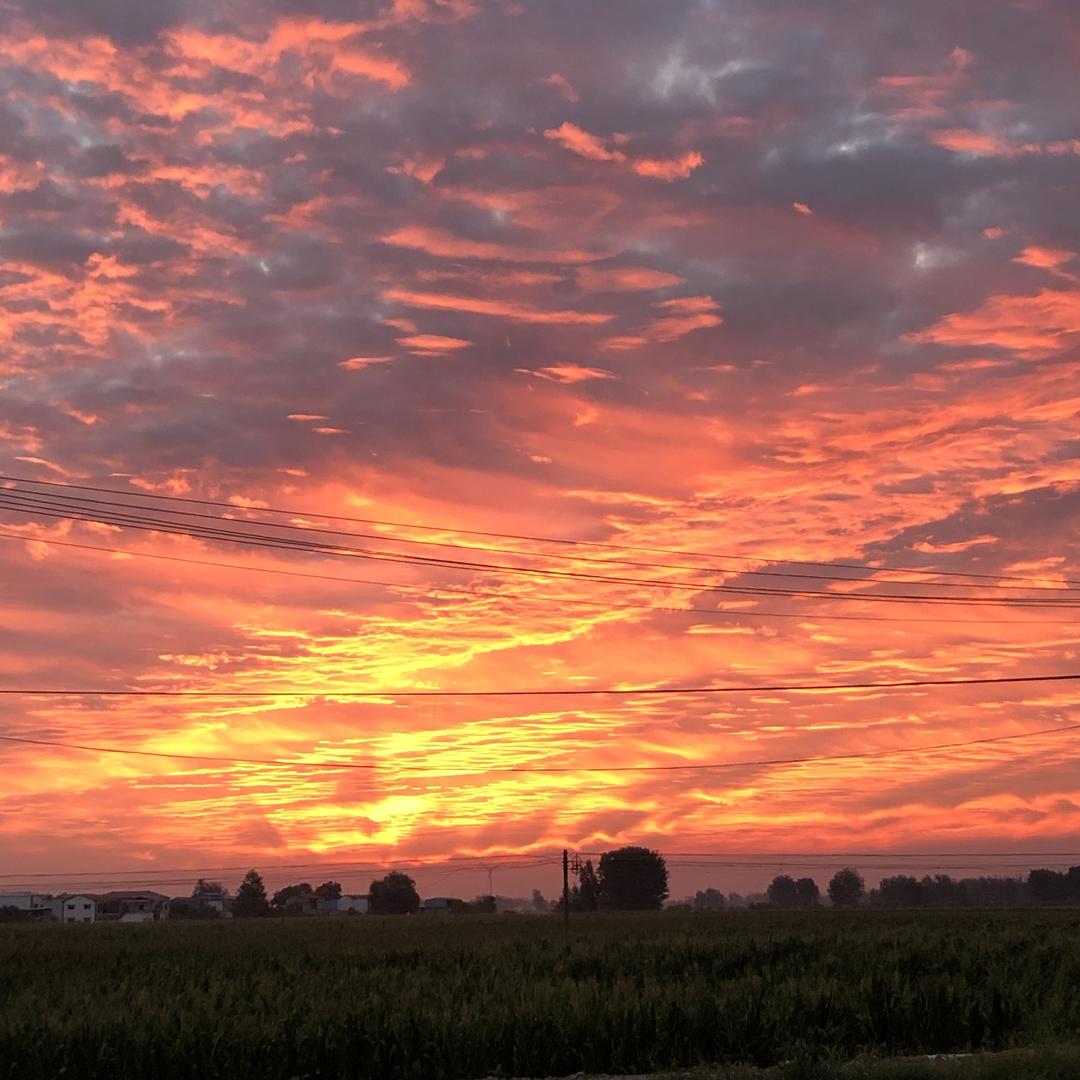 封丘新农人霸总农产品