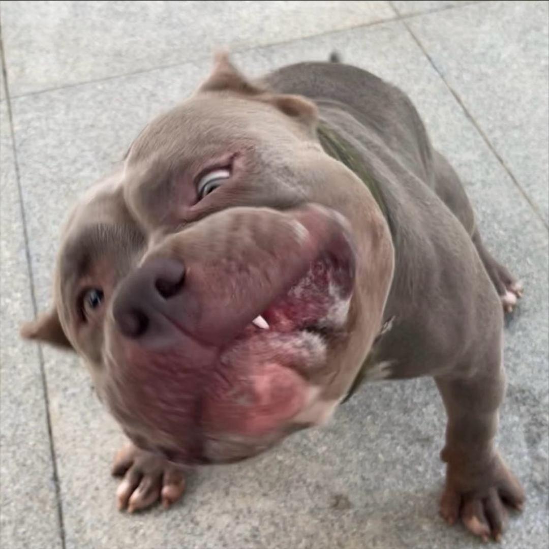 卡卡 畅悠科技有限公司