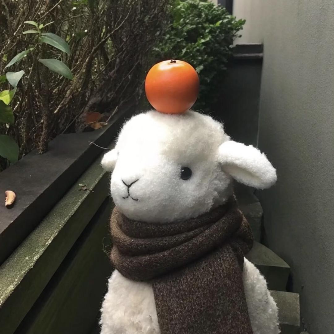 小程同学爱瞎逛