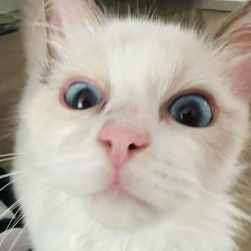 顺风顺水真的顺