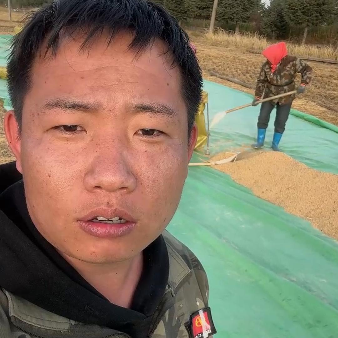 奇迹家五常大米