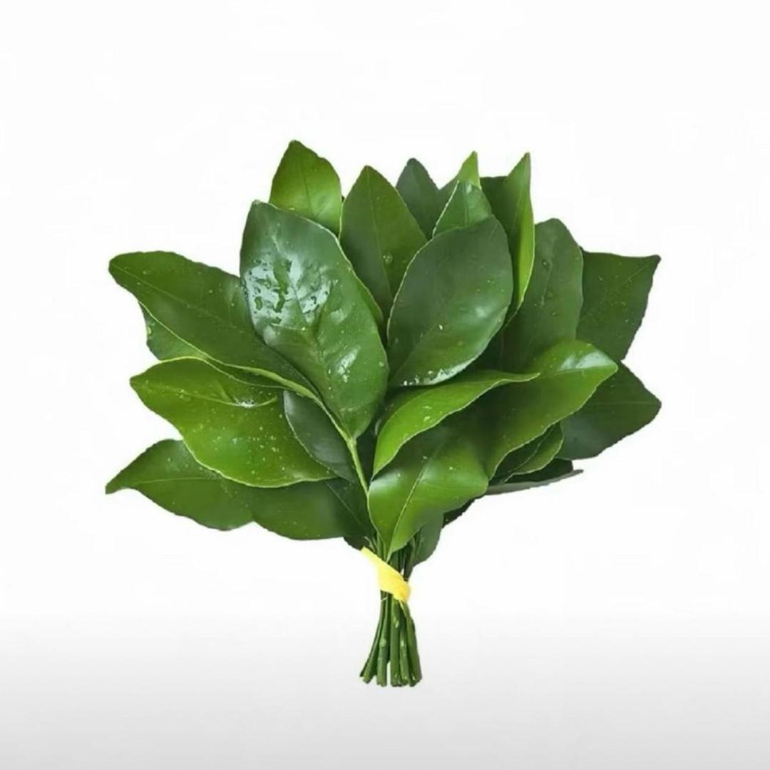 𝒎𝒂𝒚𝒃𝒆