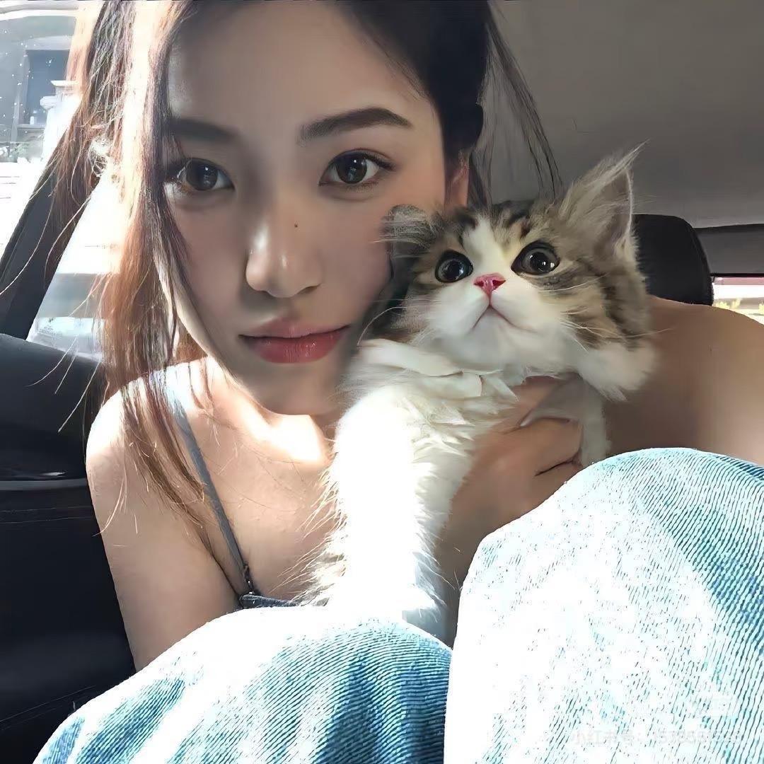 钉子头 🐈