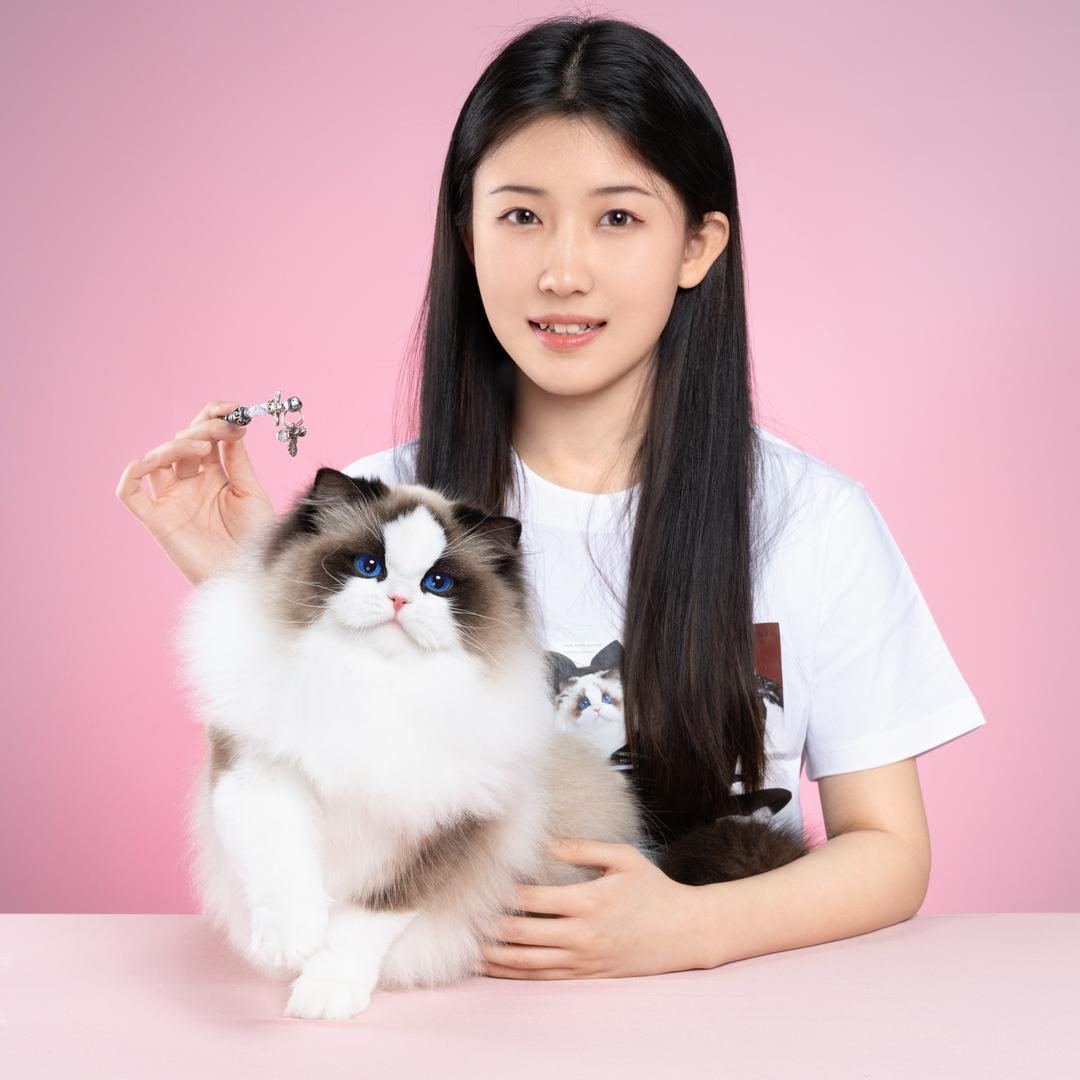 张宝彤布偶猫舍·小满