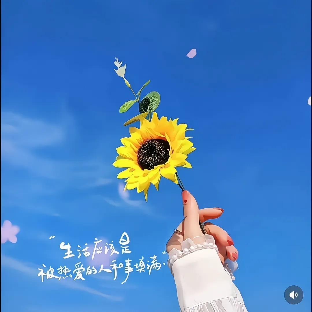 鑫（丫丫）