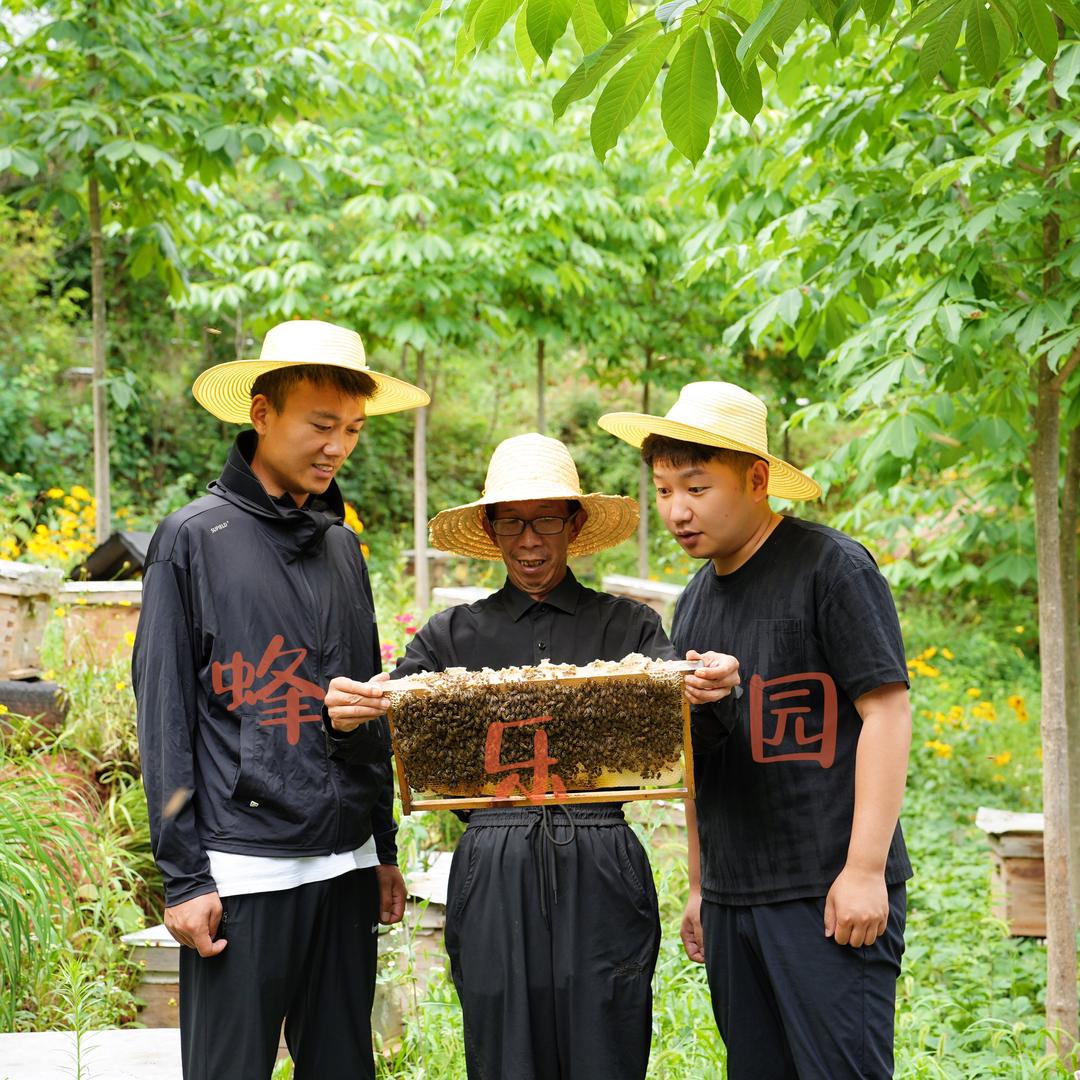 黑岩土蜂蜜蜂蜜旗舰店
