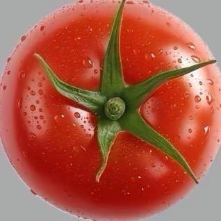 洋柿子🍅（半碗