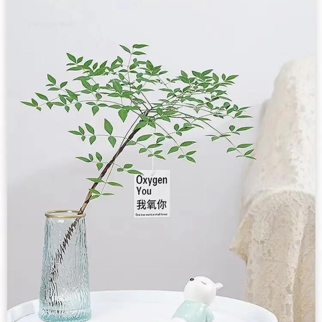 不晚鲜花绿植店