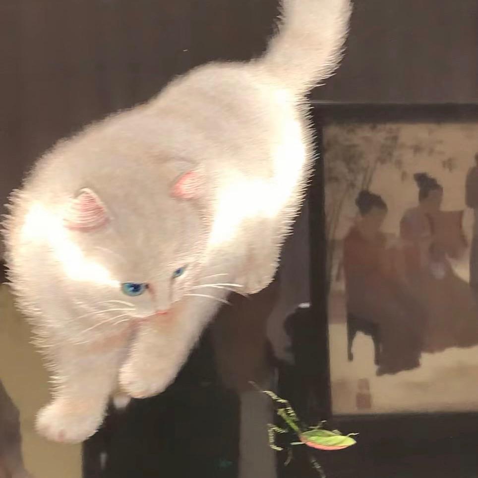 散