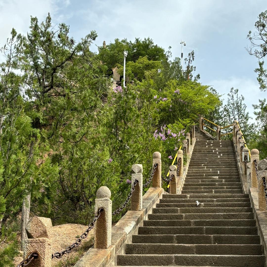 烈焰🔥之王👑