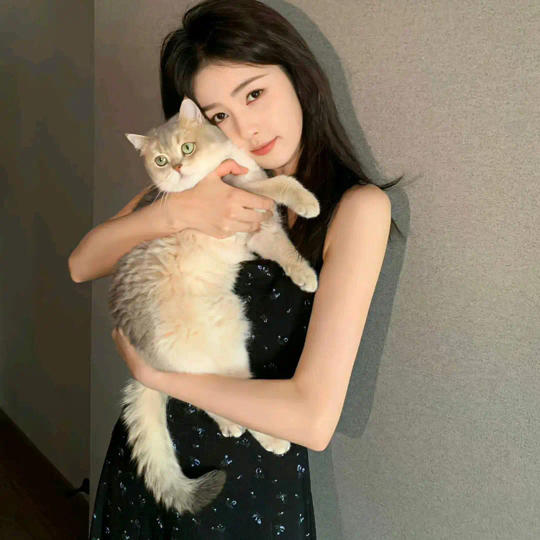 陈咩咩🐑