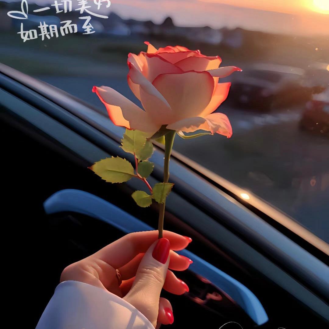 一个哒不刘✧*☽