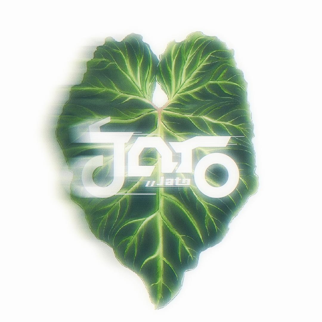 植场小杨JT