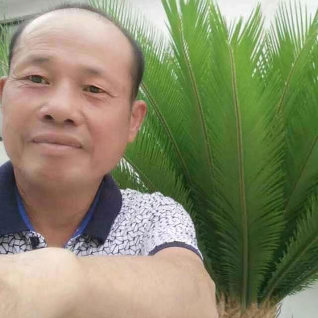 中华小龙