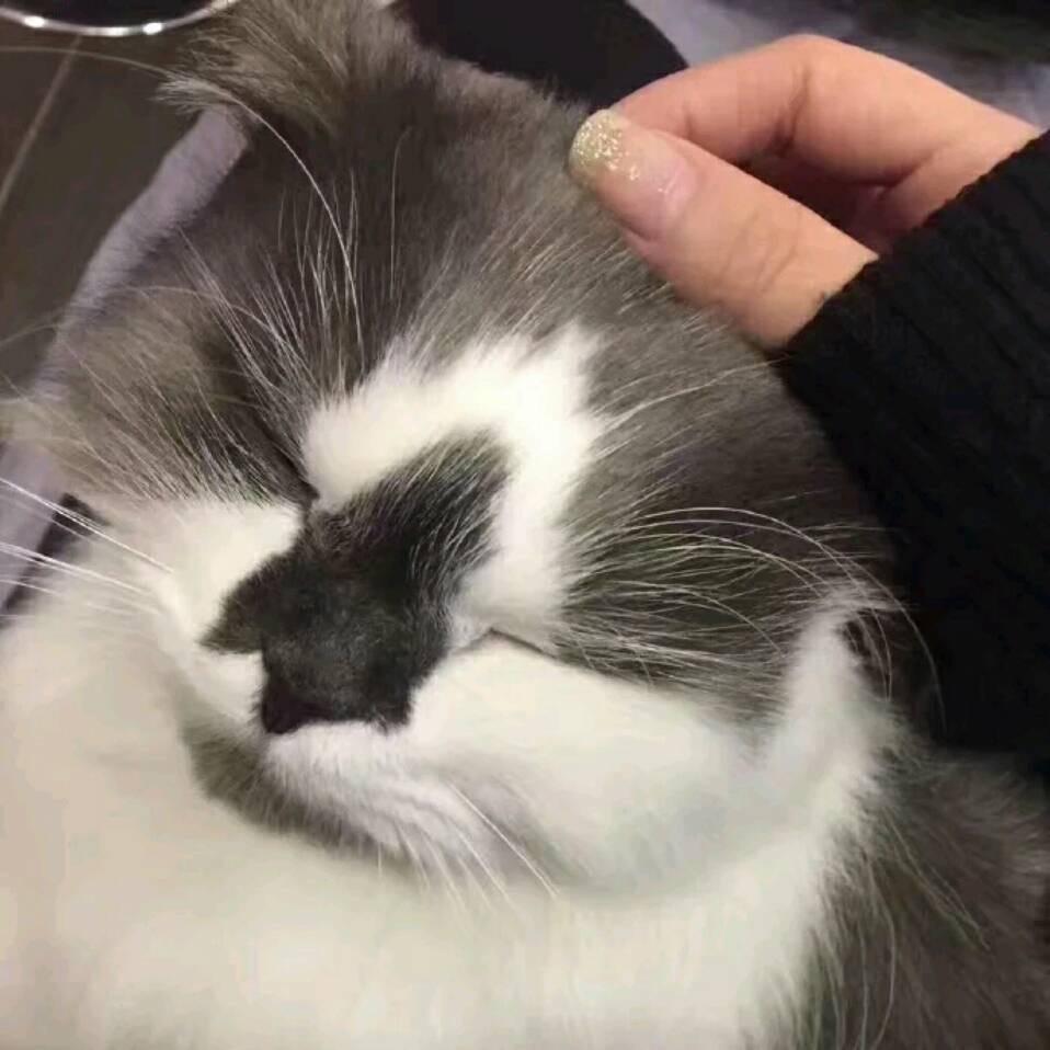 姚瑶