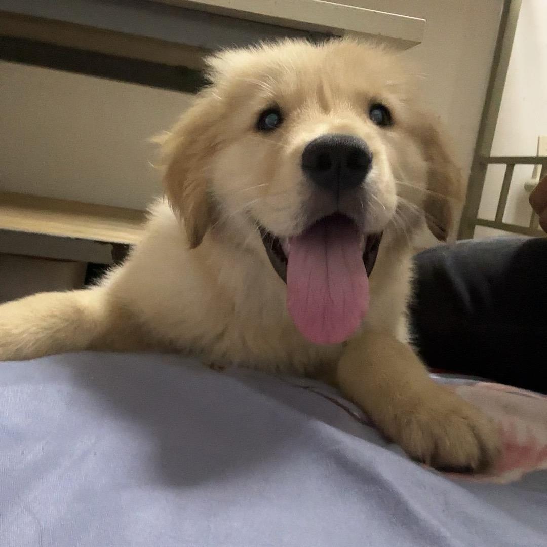 🌈*小周不喝酒