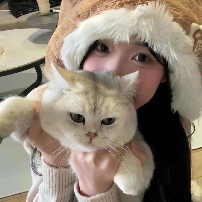 ฅ( ̳• ·̫ • ̳ฅ)。