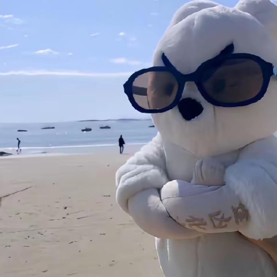 骑着主持找太妹