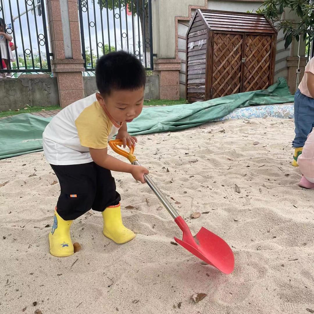 崇明陆小宝农产品