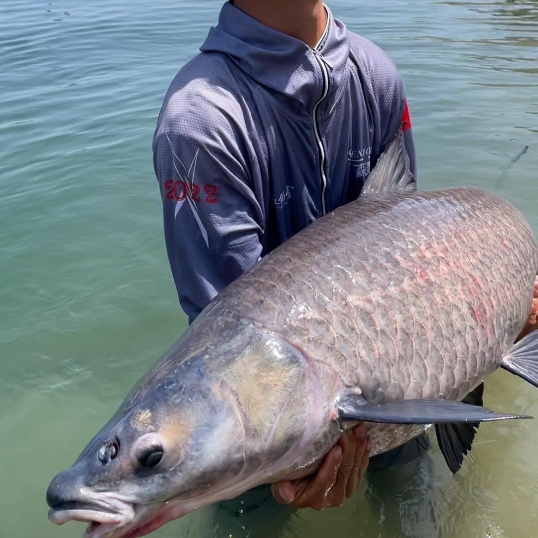 疯钓江湖小莫(Carpkk钓手)