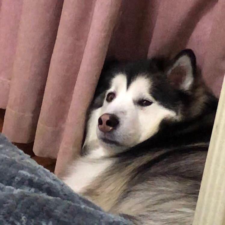 -☁️