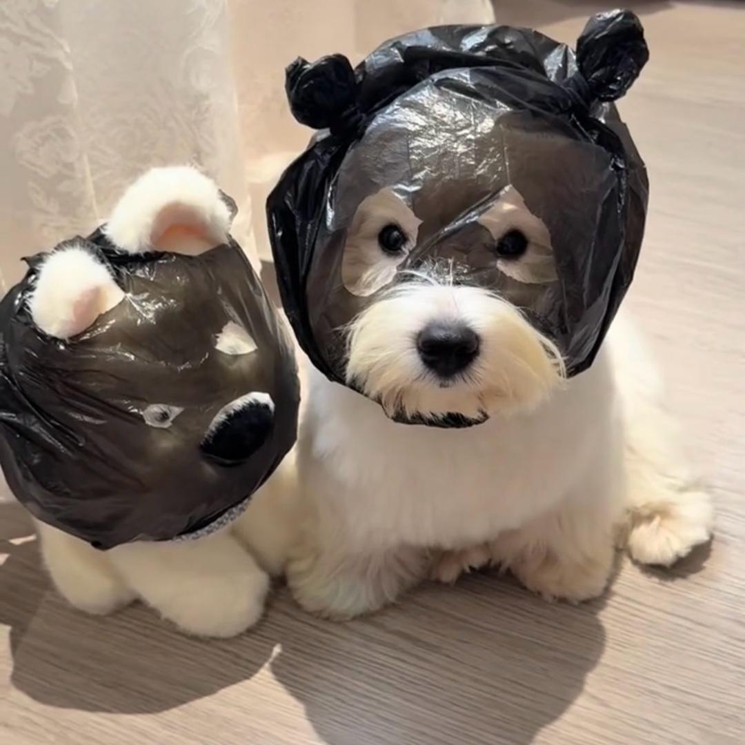 大大大大大King的K