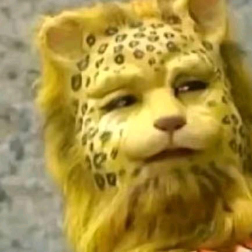 努力奋斗