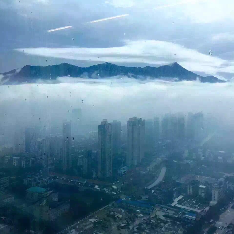 霏