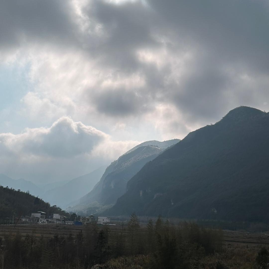 柑橘橙芒果荔枝石榴供应链采购