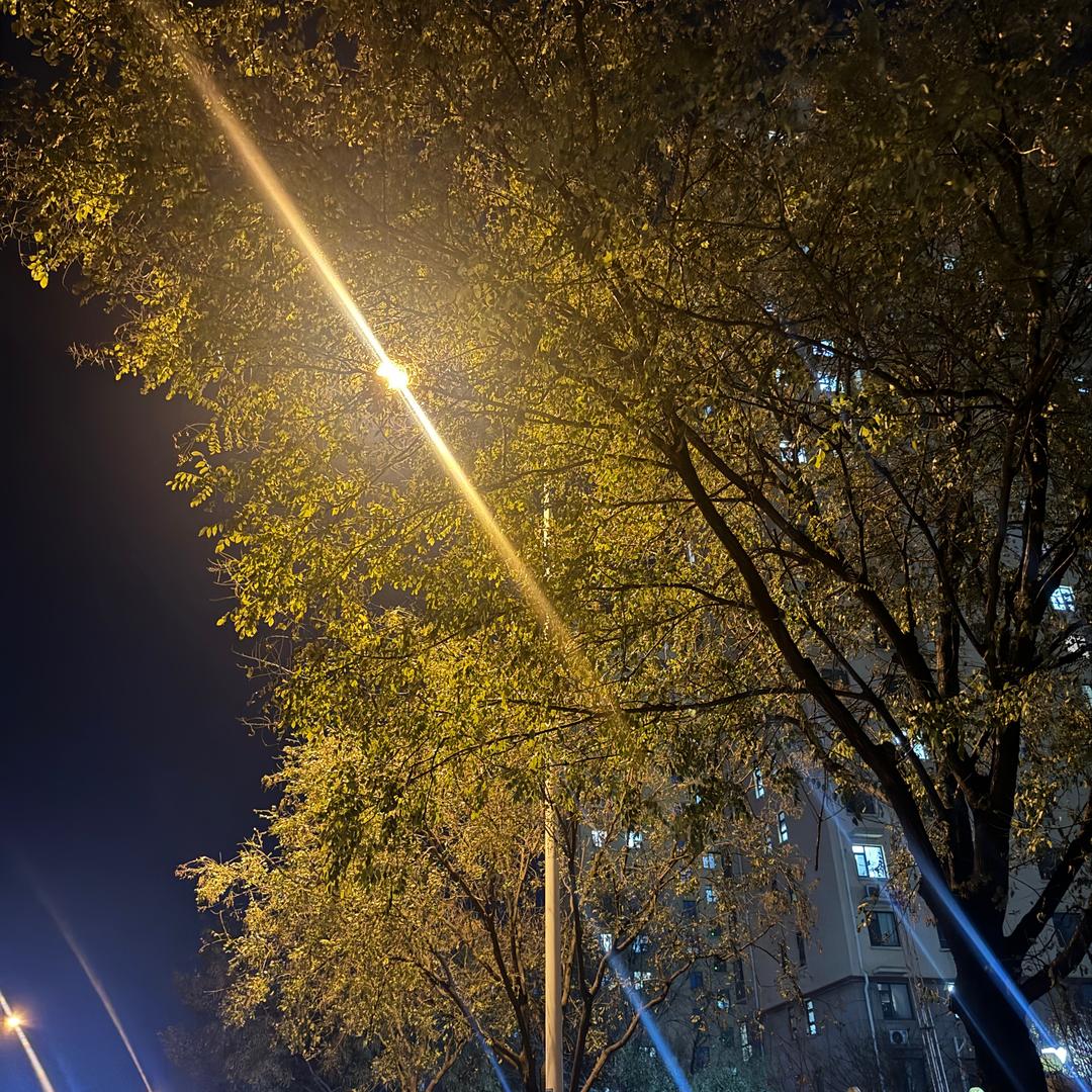 心若向洋，无谓悲伤