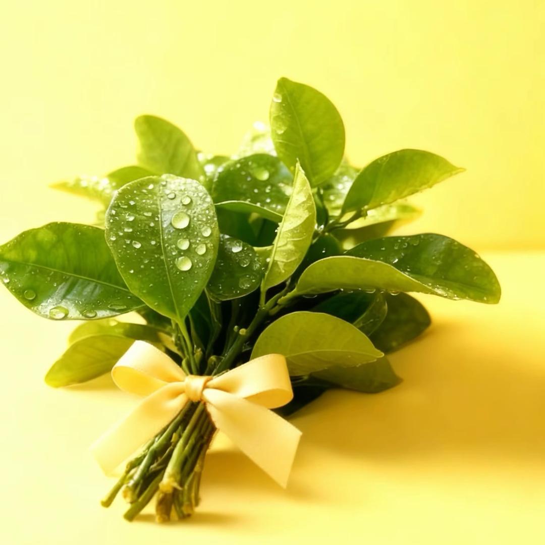 向阳花开🌻