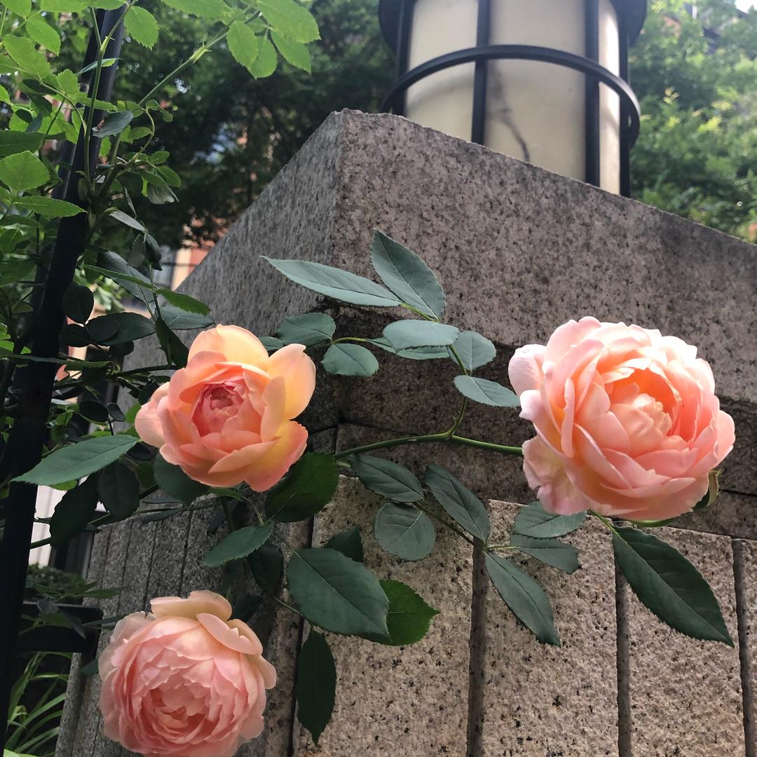 用户8566962384330冰冰