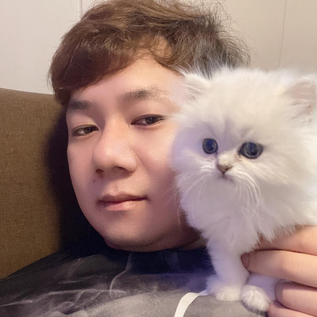 陈、