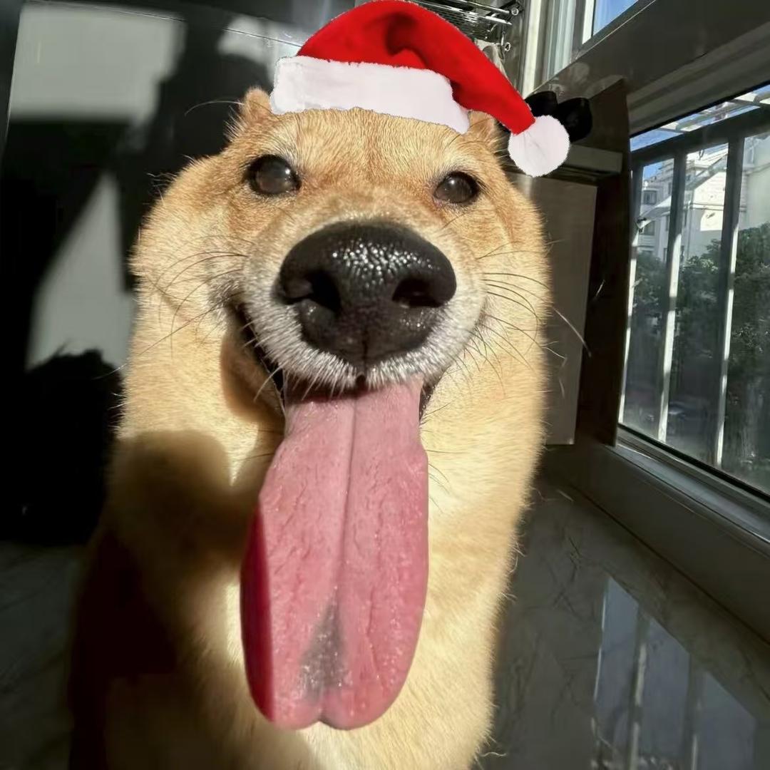 翘起地球的杠杆