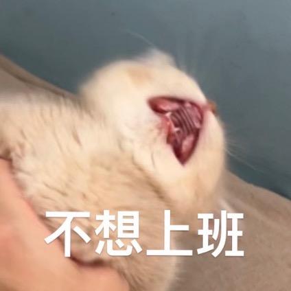 地球偏移理论🍊（不要连赞）