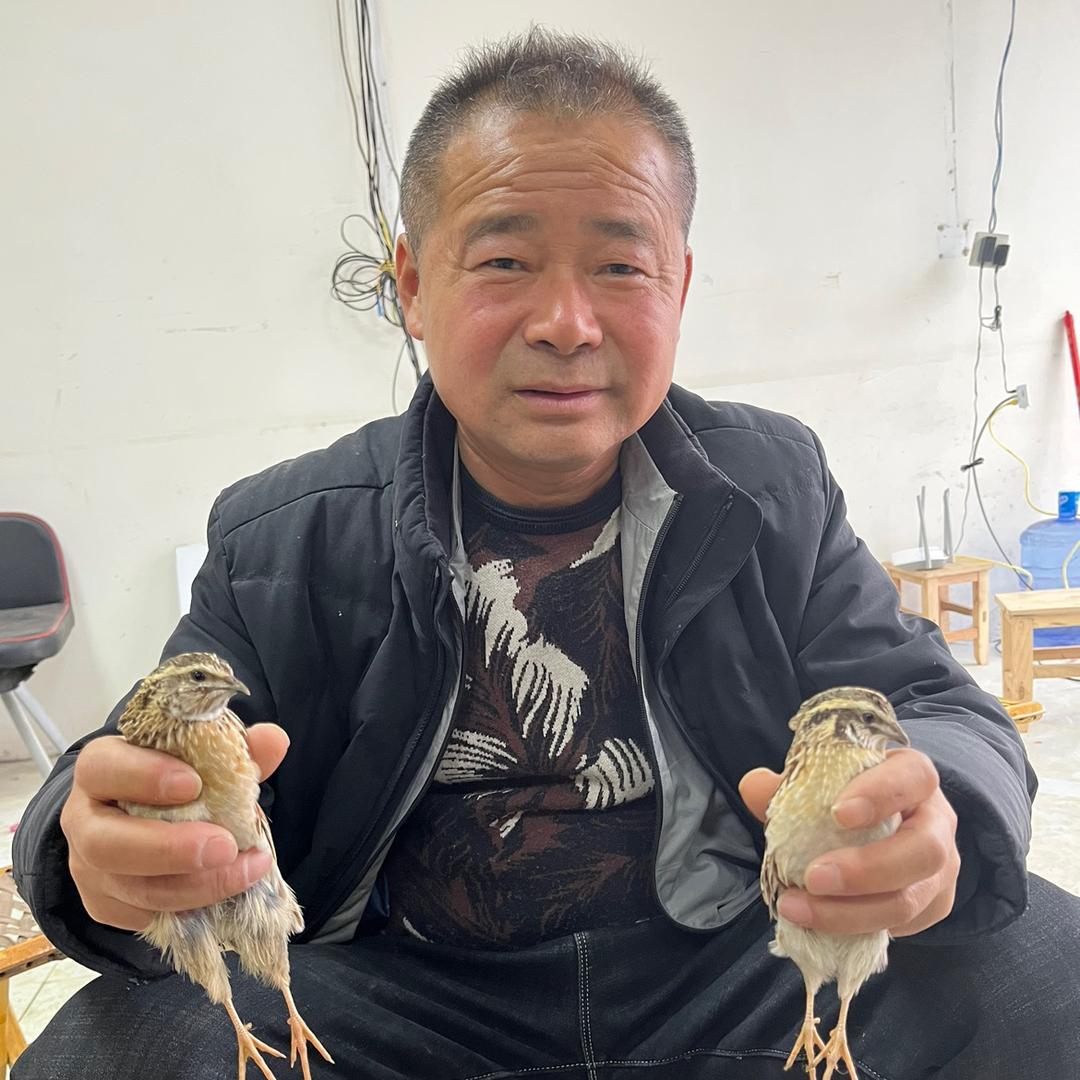 老马动物养殖场