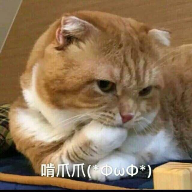 Czzp