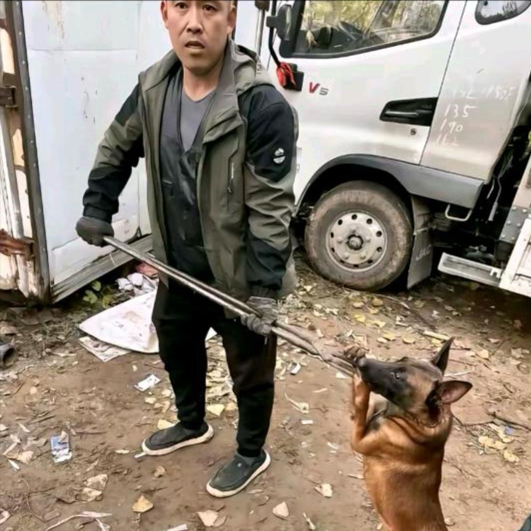 张哥专业套狗