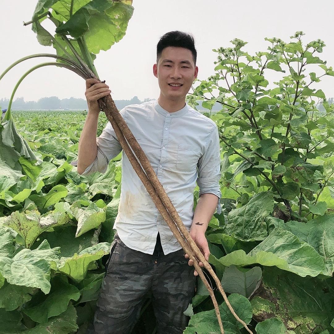 大盛植物说