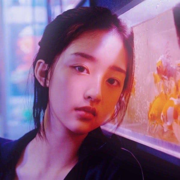 圆圆甄选